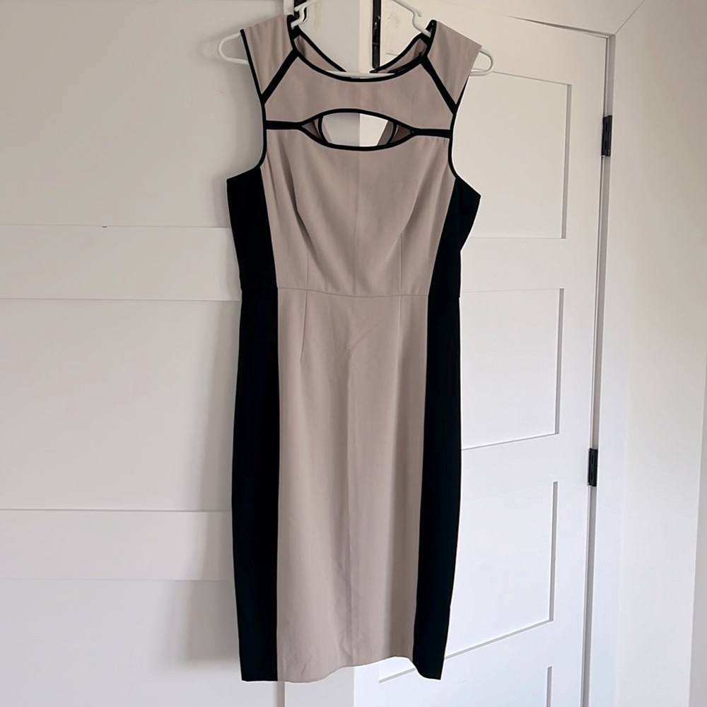 BCBG Kelsee dress